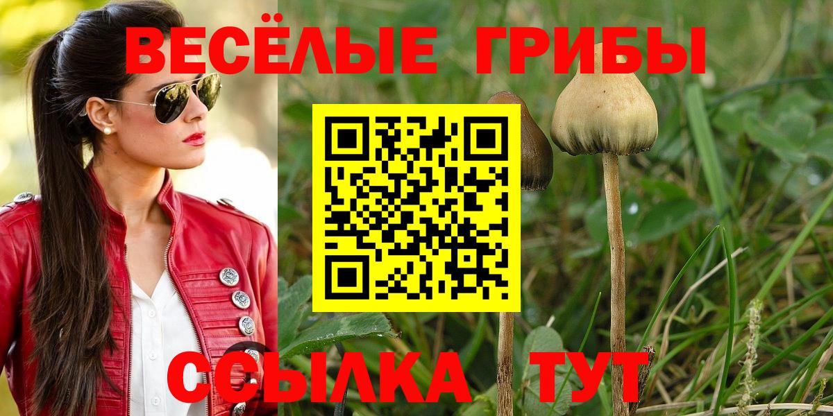 Псилоцибиновые грибы GOLDEN TEACHER Владивосток