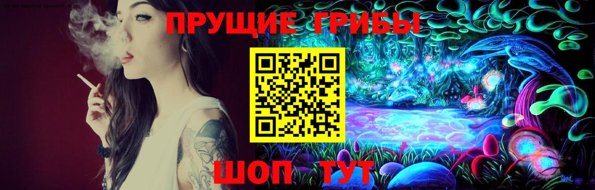 Владивосток  купить закладку  Вход с VPN  Псилоцибиновые грибы прущие грибы  Псилоцибиновые грибы GOLDEN TEACHER 